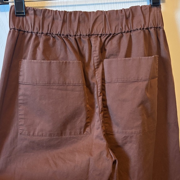 Everlane Dark Brown Organic Cotton Pants - Picture 4 of 5
